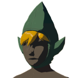 Tingle's Hood