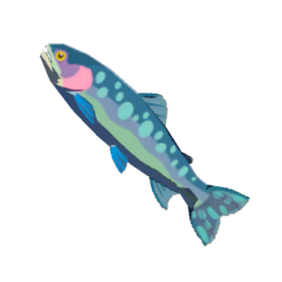 Chillfin Trout